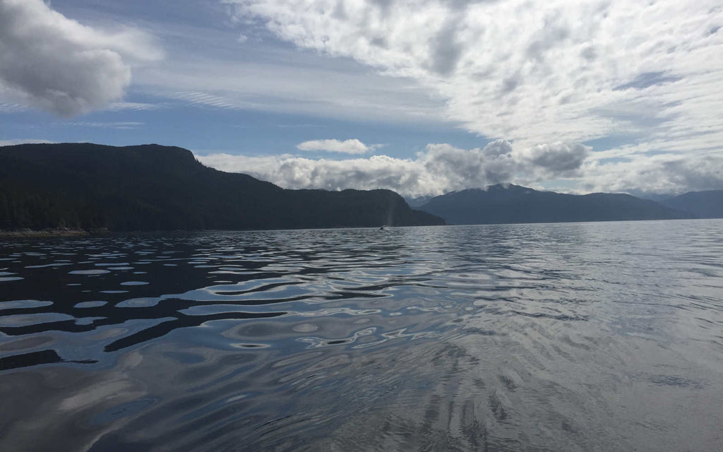 R2AK Day 11 - Inside Passage's Spectacular Greville Channel